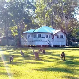 lake-weyba-noosa-lodge-kangaroos.queenslandhotels.net/